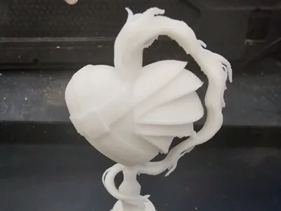 Warrior heart 