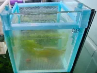 0.2mm 层高, 3 层墙, 25% 填充