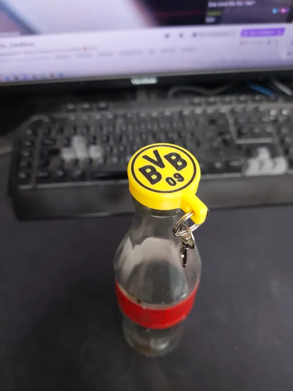 https://makerworld.bblmw.com/makerworld/model/US6a92d7d534d372/design/2024-04-06_352c771e4e084.jpg