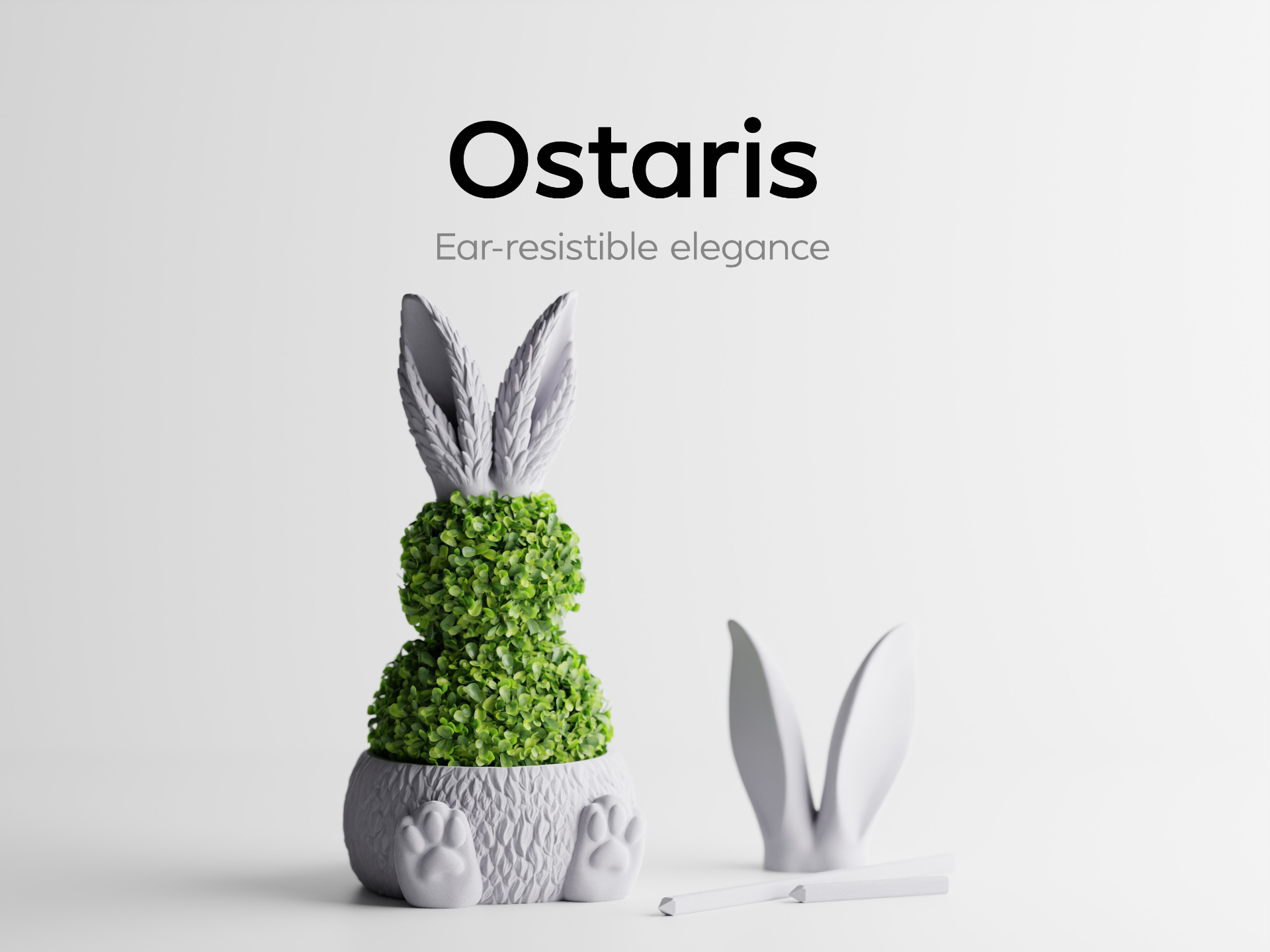 Ostaris – Ear-resistible elegance.