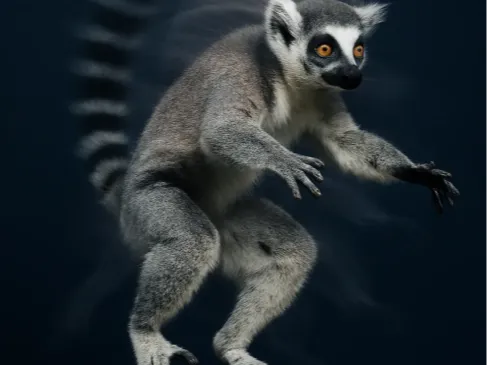 When you jump but regret it mid air