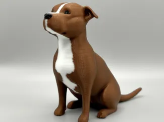 Pitbull Model