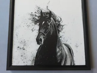 Pferd_2