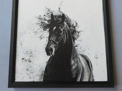 Horse_2