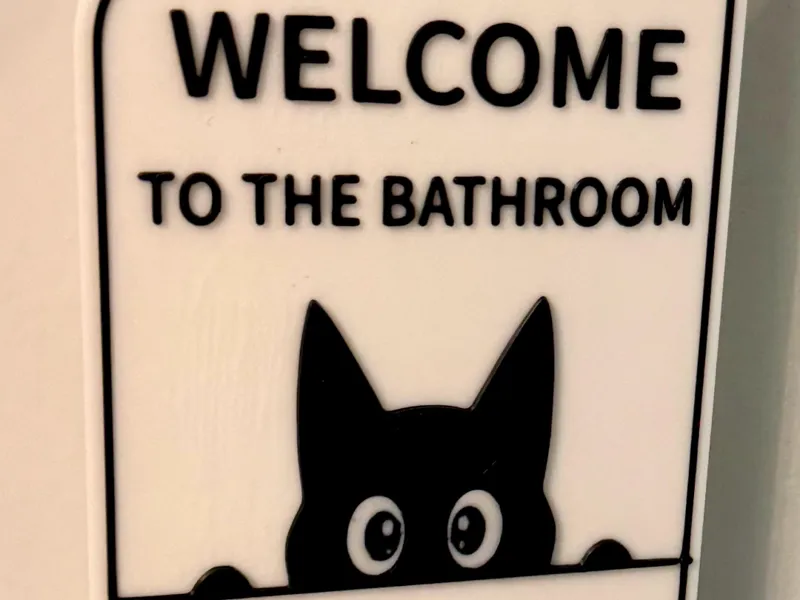 A Cat Will Be With You Shortly- smooth settings