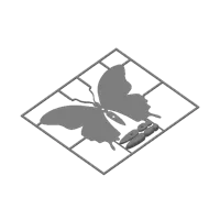 Papillon façon carte à monter (Kitcard) — photo 5