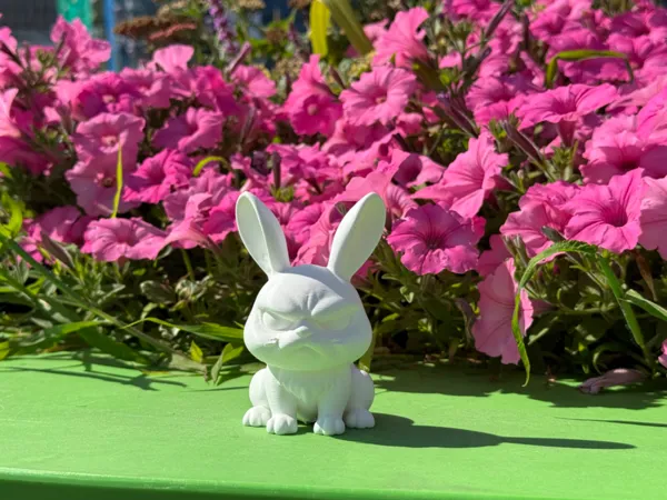 https://makerworld.bblmw.com/makerworld/model/US6aa77b4f852196/design/2025-08-14_f0cb9a32ca5838.jpg
