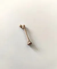0.2mm nozzle, 0.1mm layer, 2 walls, 15% infill