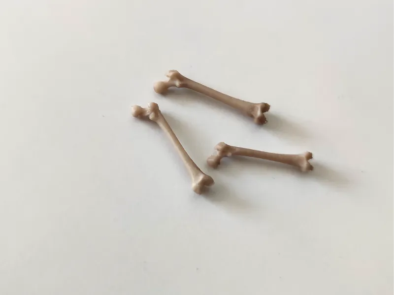 Realistic Tiny Bone / Tabletop, Diorama, Miniature