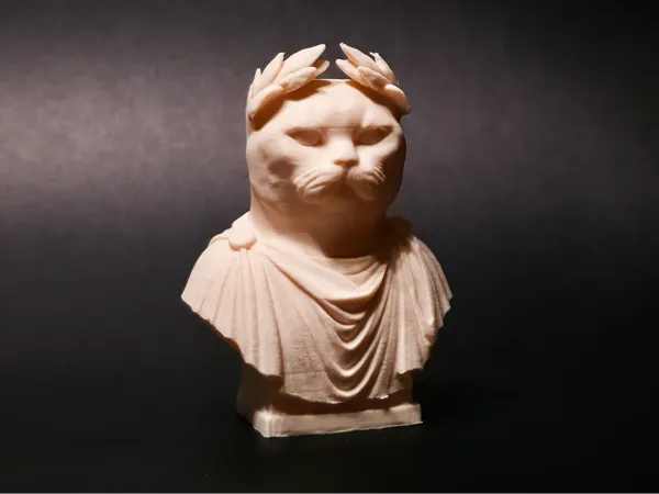 https://makerworld.bblmw.com/makerworld/model/US6aafd52db53772/design/2025-08-05_7572995031ea.jpg