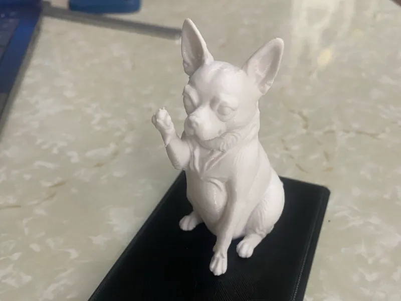 Chihuahua 