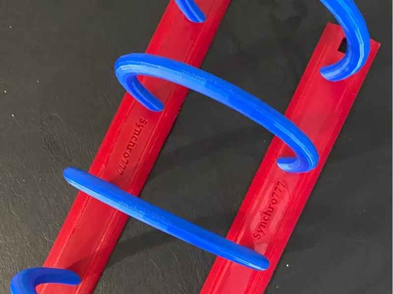 Record Holder - extendable