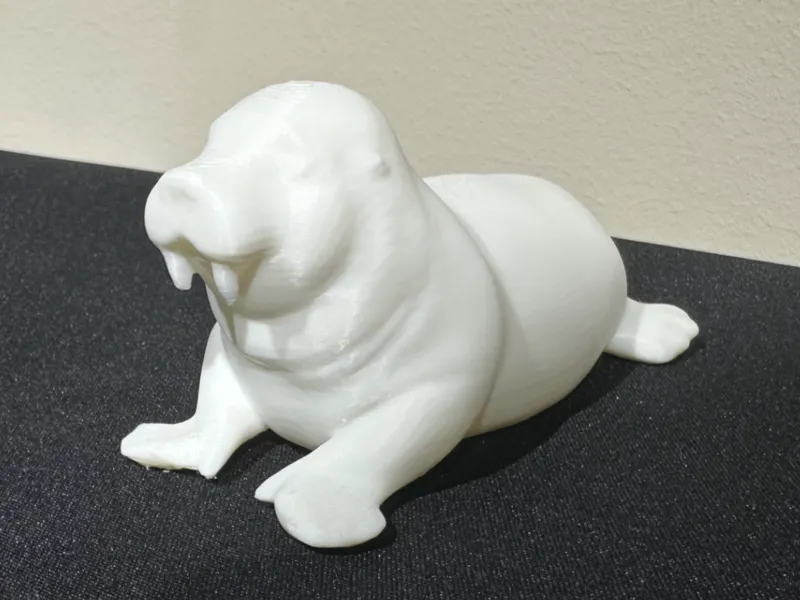 Cute Walrus