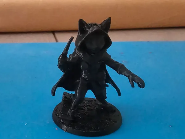 Chat cambrioleur
