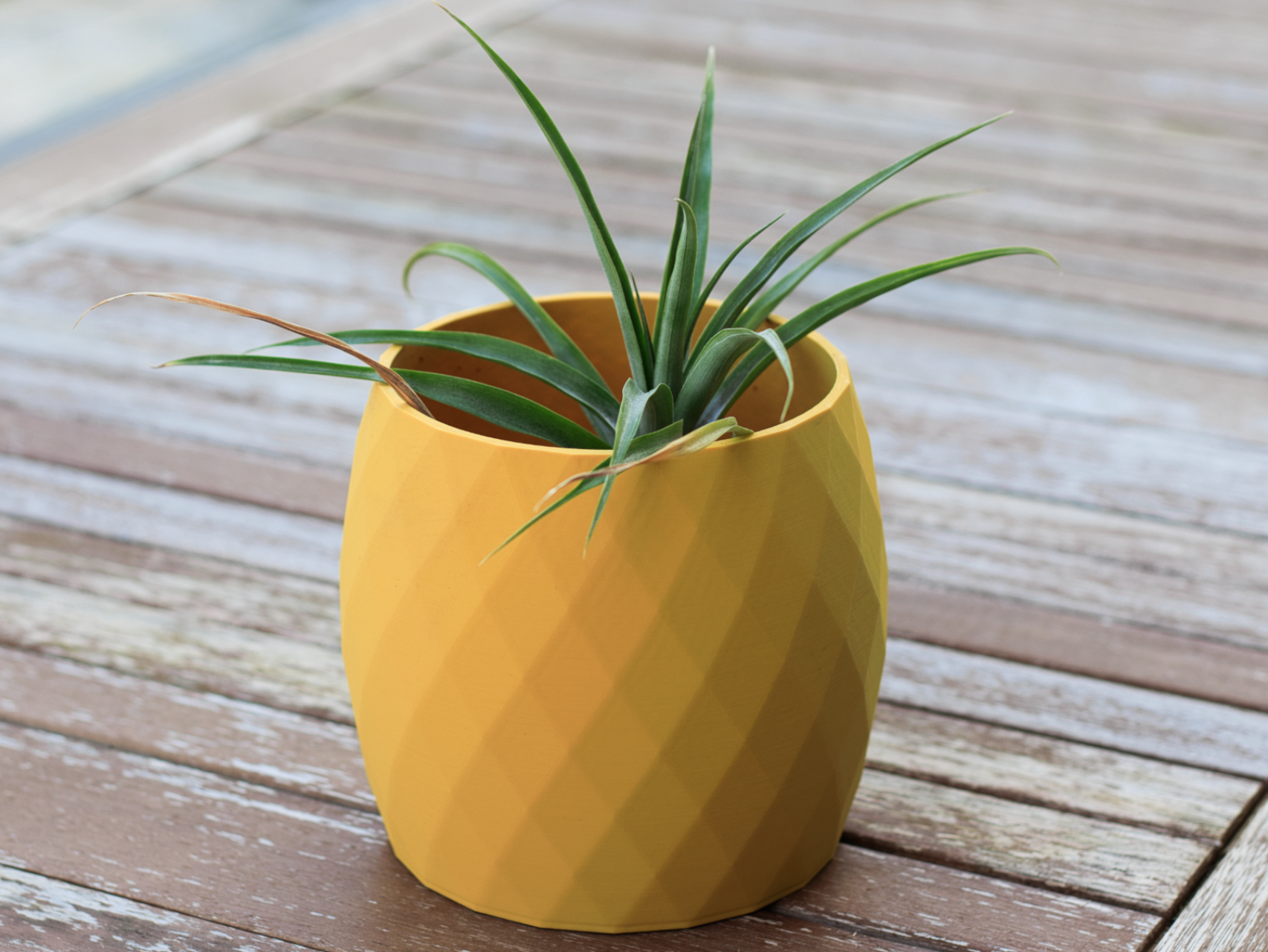 Pineapple Plant Pot