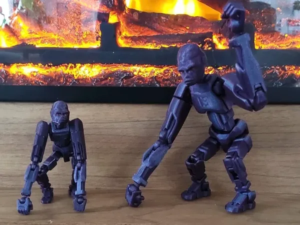 https://makerworld.bblmw.com/makerworld/model/US6ac58d87c223ab/design/c0c45bbd8425ccd2.jpeg