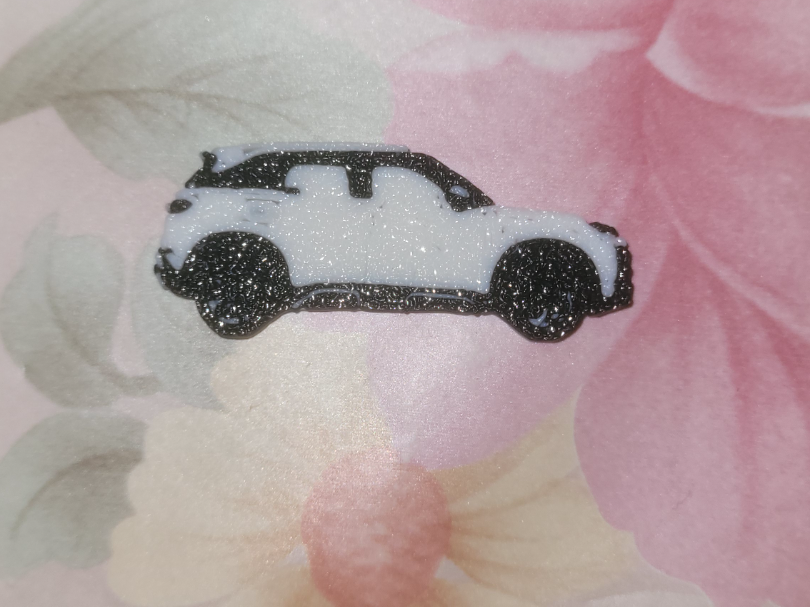 BYD atto 2 Key chain