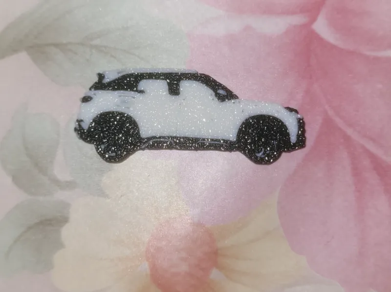 BYD atto 2 Key chain