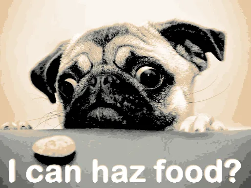 Hungry Pug - Hueforge