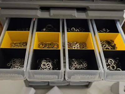 Action Werckmann organiser dividers