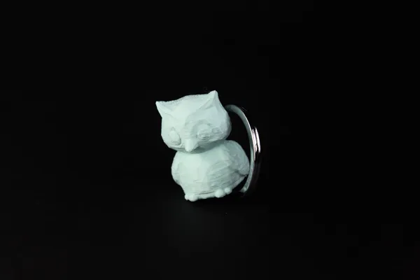 https://makerworld.bblmw.com/makerworld/model/US6ac8d1c66a93ee/design/2024-03-27_742d36e2ae78e.jpg