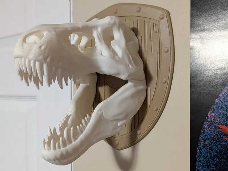 Mounted Trex Head Trophy