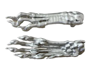 Carpos perra mestiza de Galgo TAC - CT Scan
