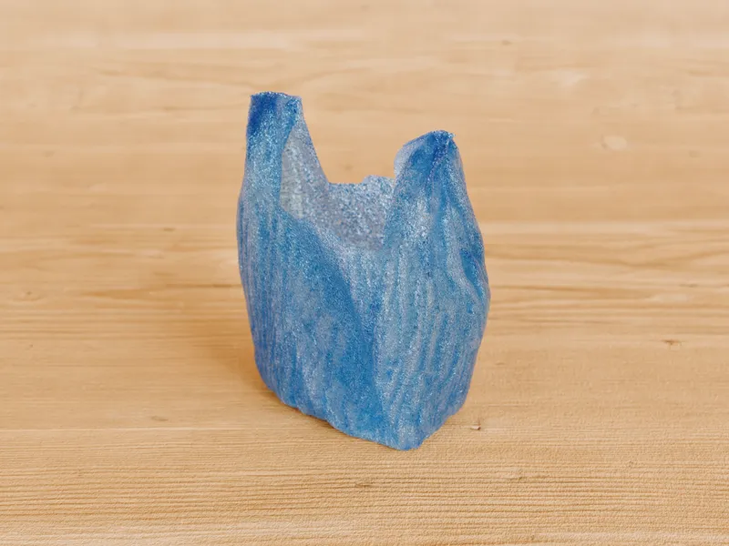 Just a Plastic Bag