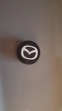 0.16mm layer, 2 walls, 10% infill