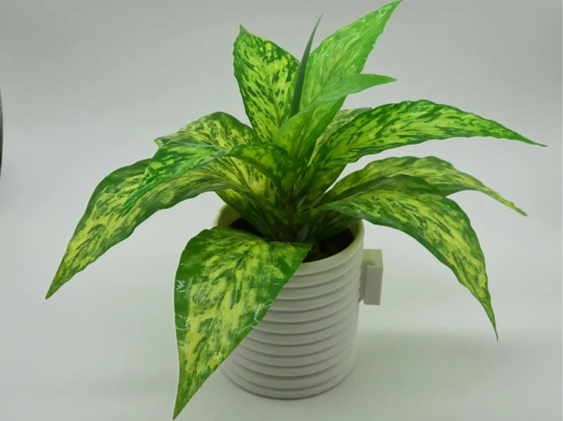 Wall or Tabletop Planter - removable drip tray