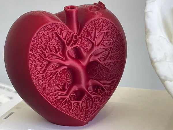 https://makerworld.bblmw.com/makerworld/model/US6ad91e00f6cf7d/design/2025-10-05_4358656f16c47.jpeg