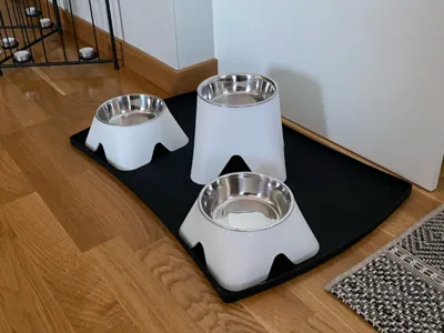 Dog bowl riser