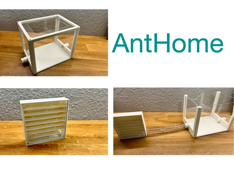 AntHome - Ant Formicarium