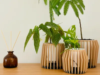 Wooden/Desktop Planter/Breathable and Water-Permeable