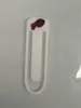 Buffalo Bills bookmark version 2