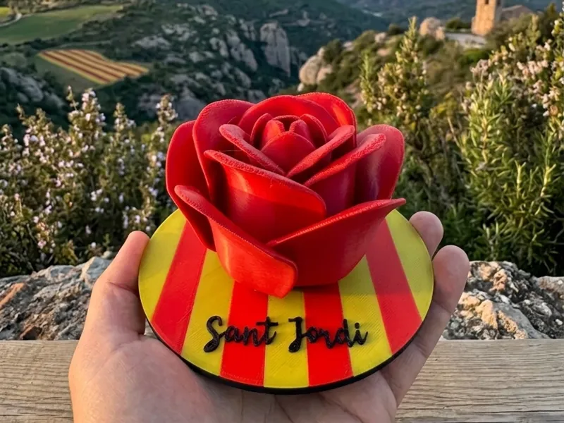 Sant Jordi Rose & Senyera / Rosa de Sant Jordi 