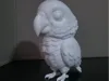 African Grey .16mm
