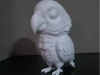 African Grey .16mm