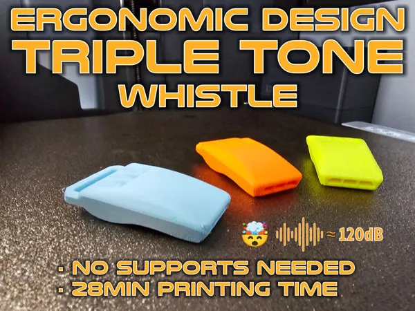 https://makerworld.bblmw.com/makerworld/model/US6aec8324244218/design/2024-08-12_a0227ef4cfae6.jpg