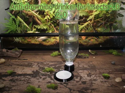 Insect Safety Waterer 2.0