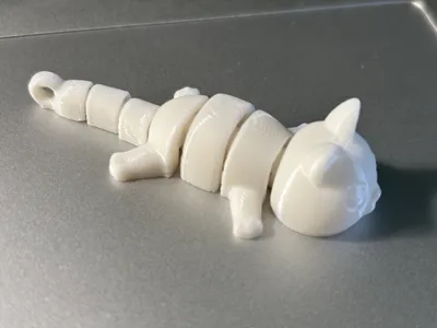https://makerworld.bblmw.com/makerworld/model/US6af0ca1a8f5ebb/414503848/ratings/a33c0f63b015ac01376b578292a4e51c.JPG
