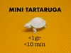 small turtle 