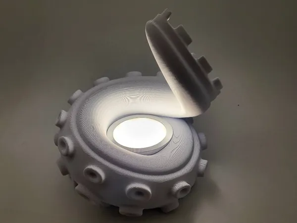 https://makerworld.bblmw.com/makerworld/model/US6af1a1d54b8105/design/2024-11-14_4922ce98567778.jpg