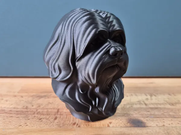 https://makerworld.bblmw.com/makerworld/model/US6af460a06a7438/design/2025-05-25_e429127f53e168.jpg