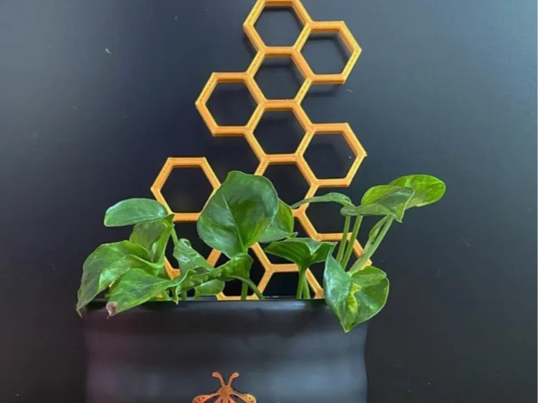 Honeycomb Plant Trellis