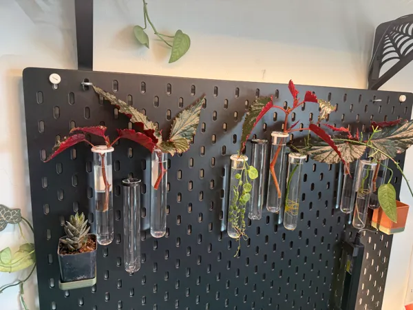 https://makerworld.bblmw.com/makerworld/model/US6af89af8c01af3/design/2a2fe679e135114a.jpeg