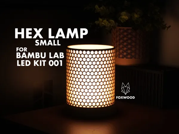 https://makerworld.bblmw.com/makerworld/model/US6afa8b89deba4a/design/2024-06-29_858798a1a14fa.jpg