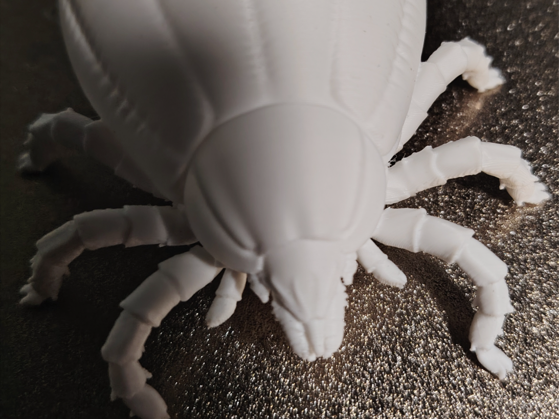 Giant Realistic Tick (100mm) - Easy Print