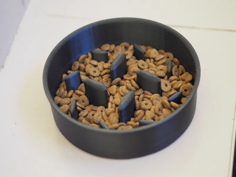 Slow Feed Dog Bowl