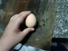 0.2mm layer, 2 walls, 50% infill